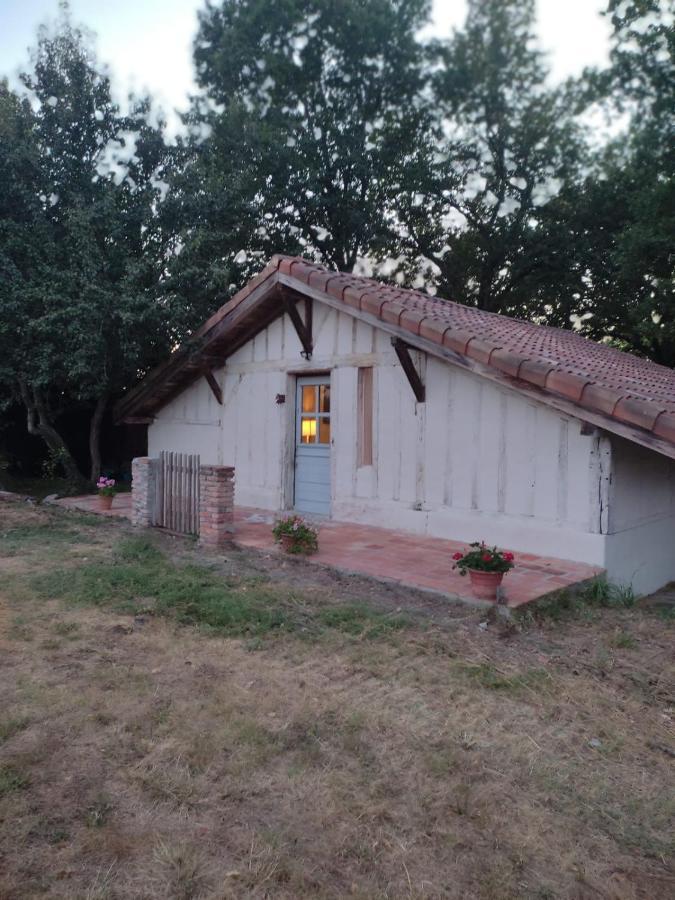 Maisonnette vue sur forêt Campagne (Landes) Exterior foto